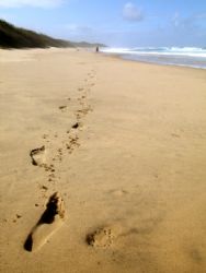 Footprints in the sand, Mozambique, Africa by Leon Joubert 
